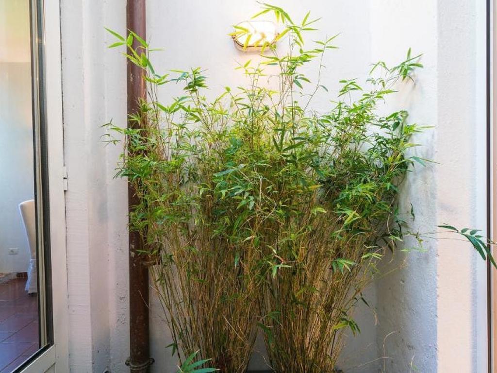 Garibaldi Roof Garden Apartment โรม ภายนอก รูปภาพ